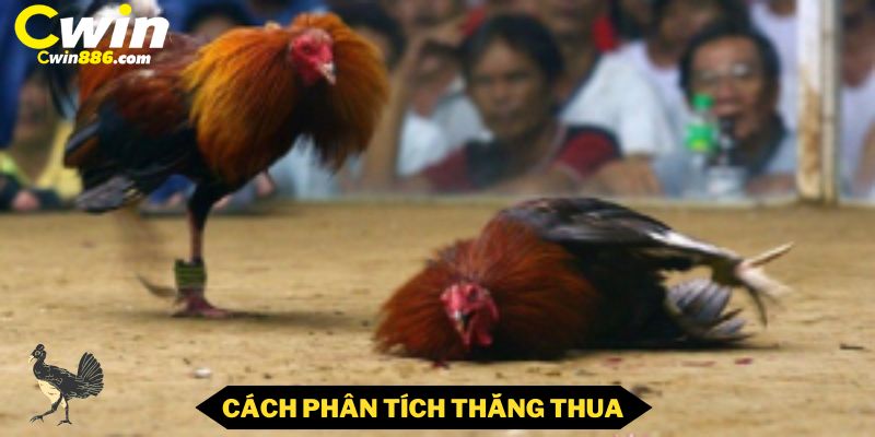 Cách nhà cái phân thắng hoặc thua 